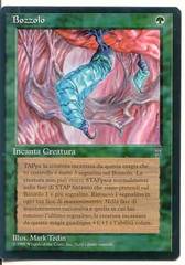 Cocoon (Bozzolo)